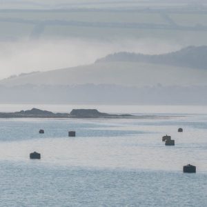The last of the mist_Robert Hibbert